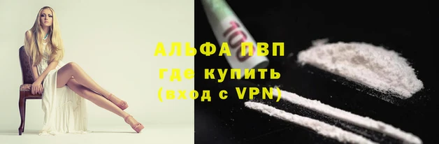 дживик Аркадак